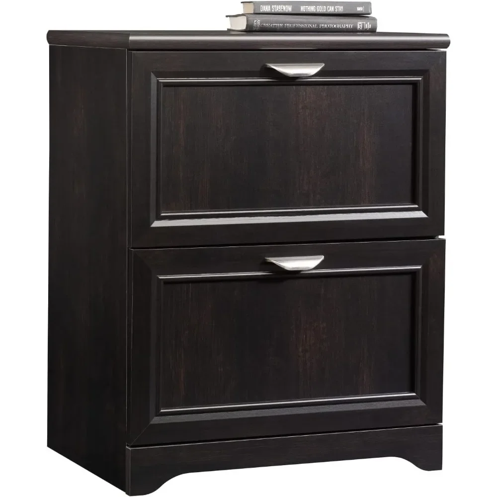 Filing Cabinets, Lateral 2-Drawer File Cabinets, multifunctional Filing Cabinets, 23-1/2"W x 16-9/16"D Filing Cabinets
Filing Cabinets, Lateral 2-Drawer File Cabinets, multifunctional Filing Cabinets, 23-1/2"W x 16-9/16"D Filing Cabinets