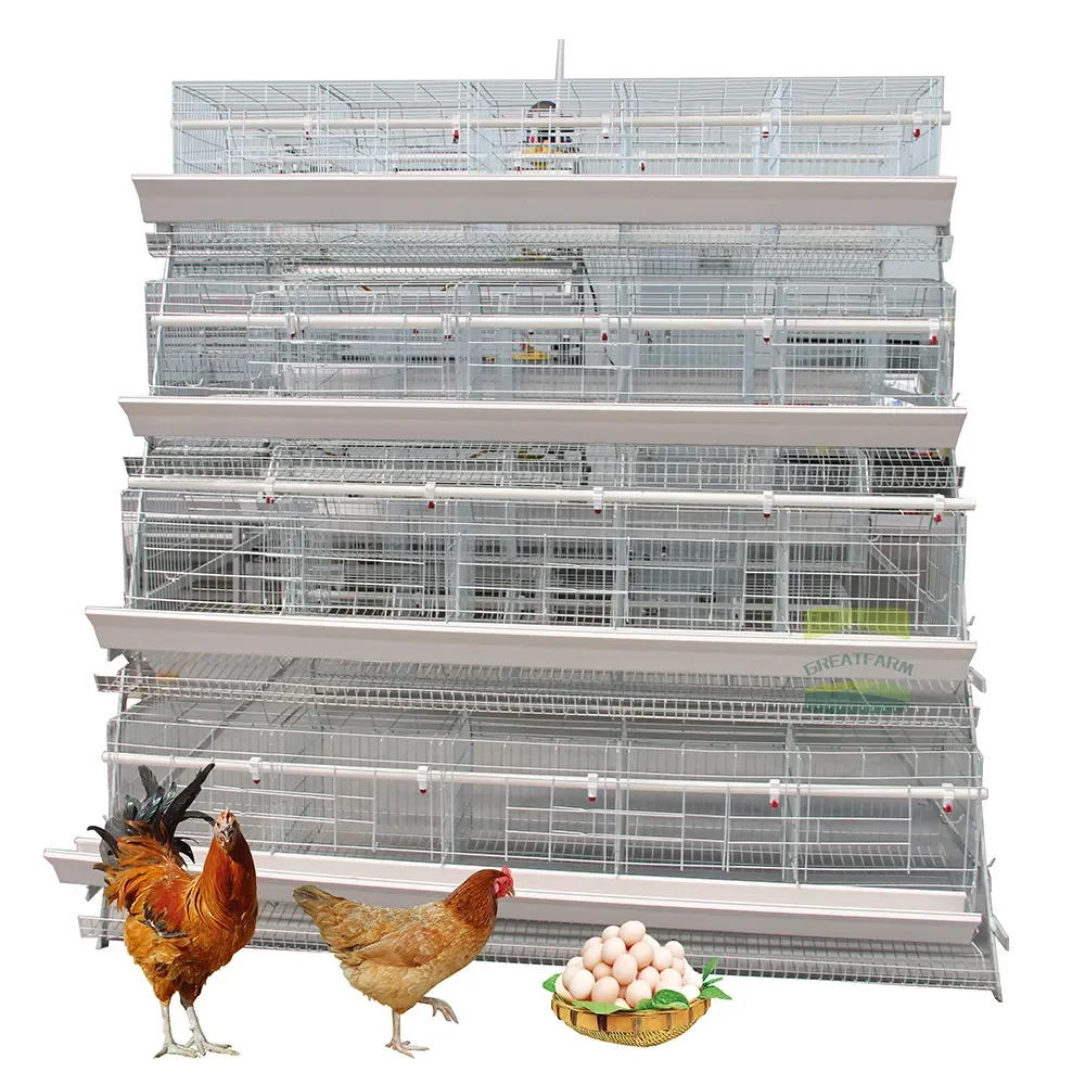 Factory Direct Sales Type A 4 Tiers 160 Birds Hens Automatic System Egg Laying Design Chicken Layers Battery Cages
Factory Direct Sales Type A 4 Tiers 160 Birds Hens Automatic System Egg Laying Design Chicken Layers Battery Cages