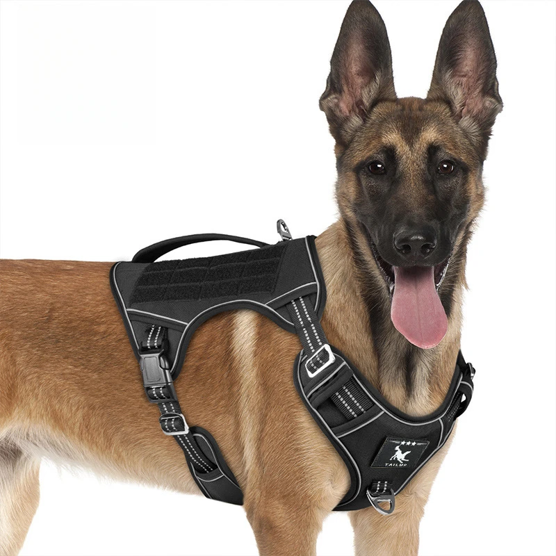 Tactical Dog Harness Military Pet German Shepherd Pet Training Vest Dog Harness and Leash Set for Small Medium Large Dogs
Tactical Dog Harness Military Pet German Shepherd Pet Training Vest Dog Harness and Leash Set for Small Medium Large Dogs