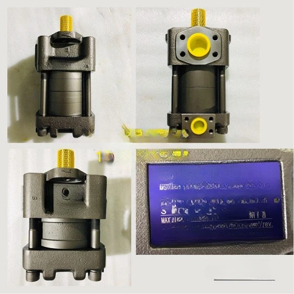 Applicable to Japan Original Genuine Goods Sumitomo Sumitomo Gear Pump QT42-31.5F-SV-Z Sumitomo Hydraulic Pump in Stock
Applicable to Japan Original Genuine Goods Sumitomo Sumitomo Gear Pump QT42-31.5F-SV-Z Sumitomo Hydraulic Pump in Stock