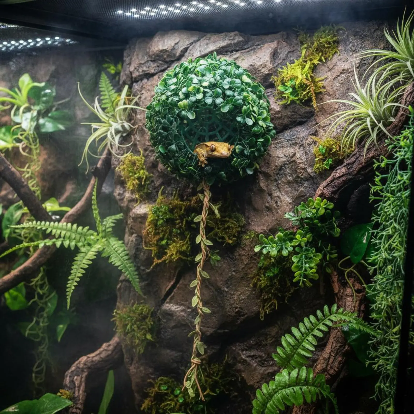 Artificial Grass Sphere Hideout Realistic Design Hanging Amphibian Hide Wall-Mounted Pet Shelter Provides Shelter for Terrarium
Artificial Grass Sphere Hideout Realistic Design Hanging Amphibian Hide Wall-Mounted Pet Shelter Provides Shelter for Terrarium
