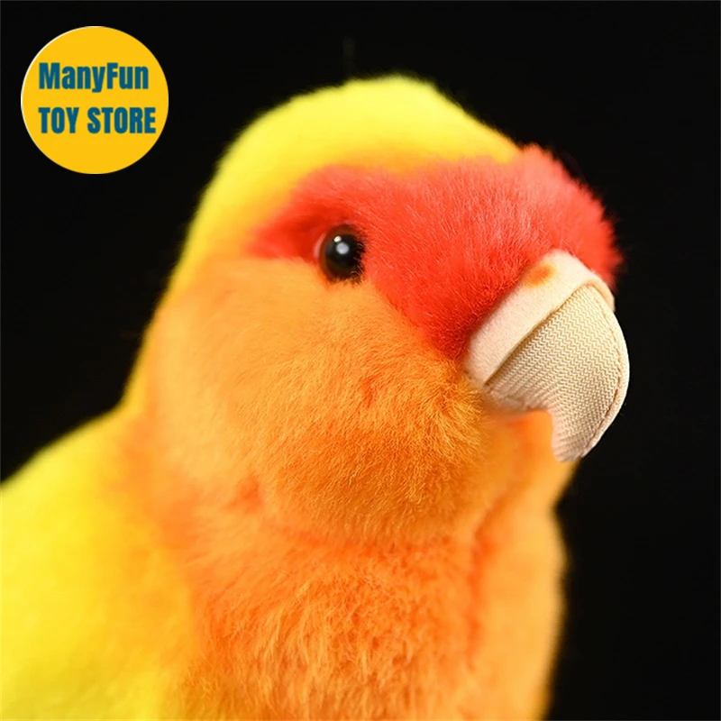 Realistic Yellow Peony Parrot Plushie Lovebird Budgie Peluche Lifelike Bird Stuffed Animals Simulation Toy For Kids Collectors
Realistic Yellow Peony Parrot Plushie Lovebird Budgie Peluche Lifelike Bird Stuffed Animals Simulation Toy For Kids Collectors