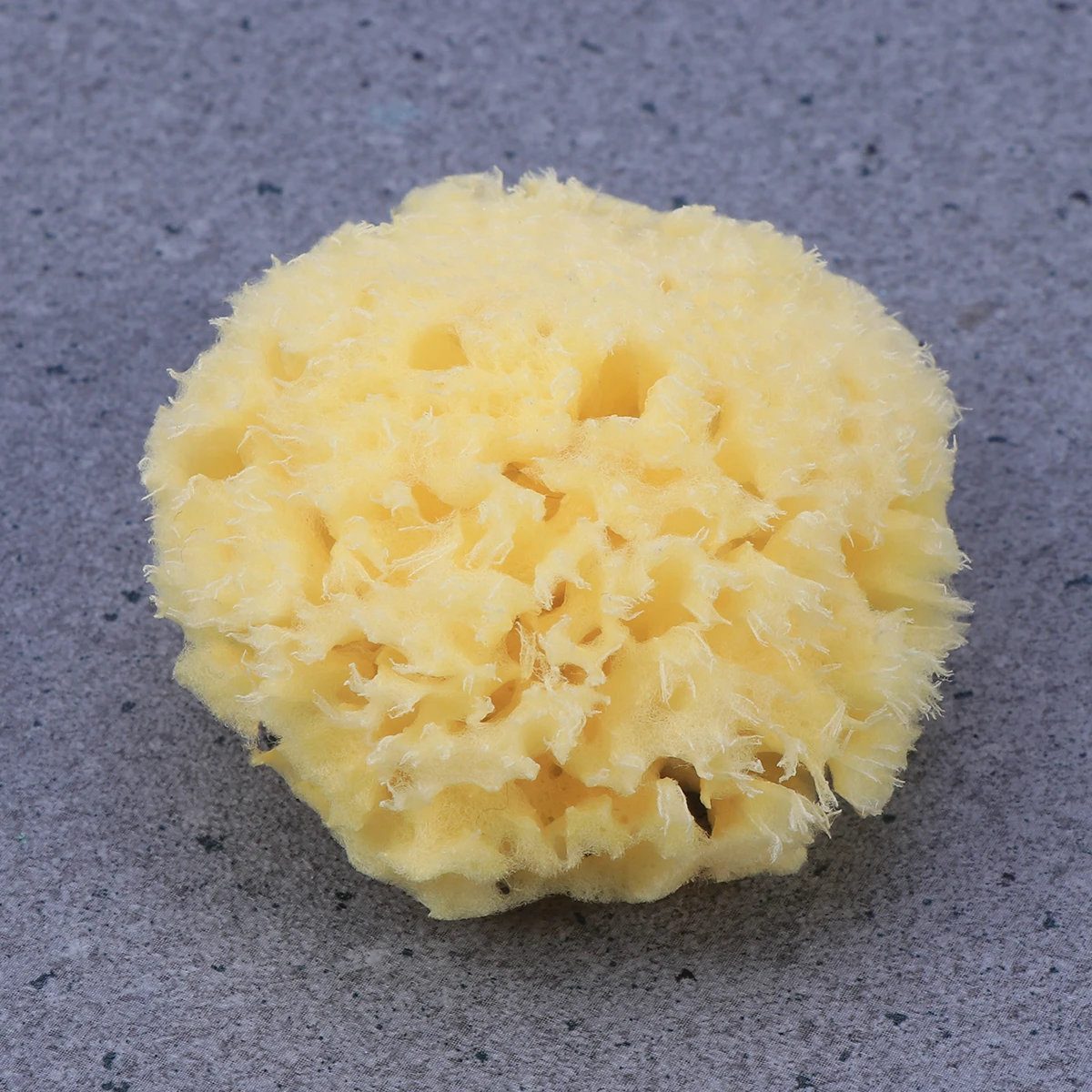 Natural Sea Mildew Resistant Soft Honeycomb Lathering Shower Bath Baby Bath Shower Sponge Bathing Sponge
Natural Sea Mildew Resistant Soft Honeycomb Lathering Shower Bath Baby Bath Shower Sponge Bathing Sponge
