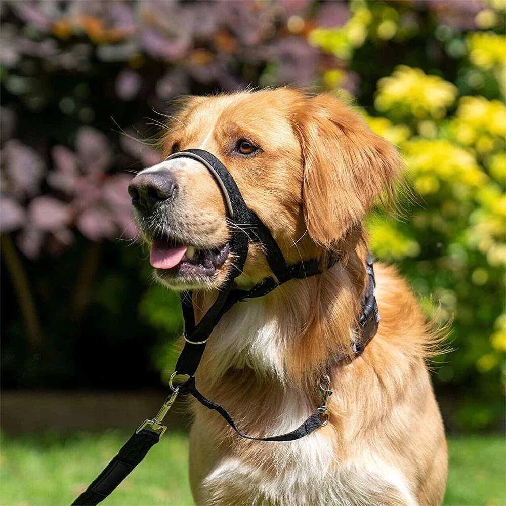 Dog Muzzle for Medium and Large Dogs Adjustable Quick-Release Dog Head Halter Muzzle Anti-Bite Anti-Bark No-Pull Leash Control
Dog Muzzle for Medium and Large Dogs Adjustable Quick-Release Dog Head Halter Muzzle Anti-Bite Anti-Bark No-Pull Leash Control