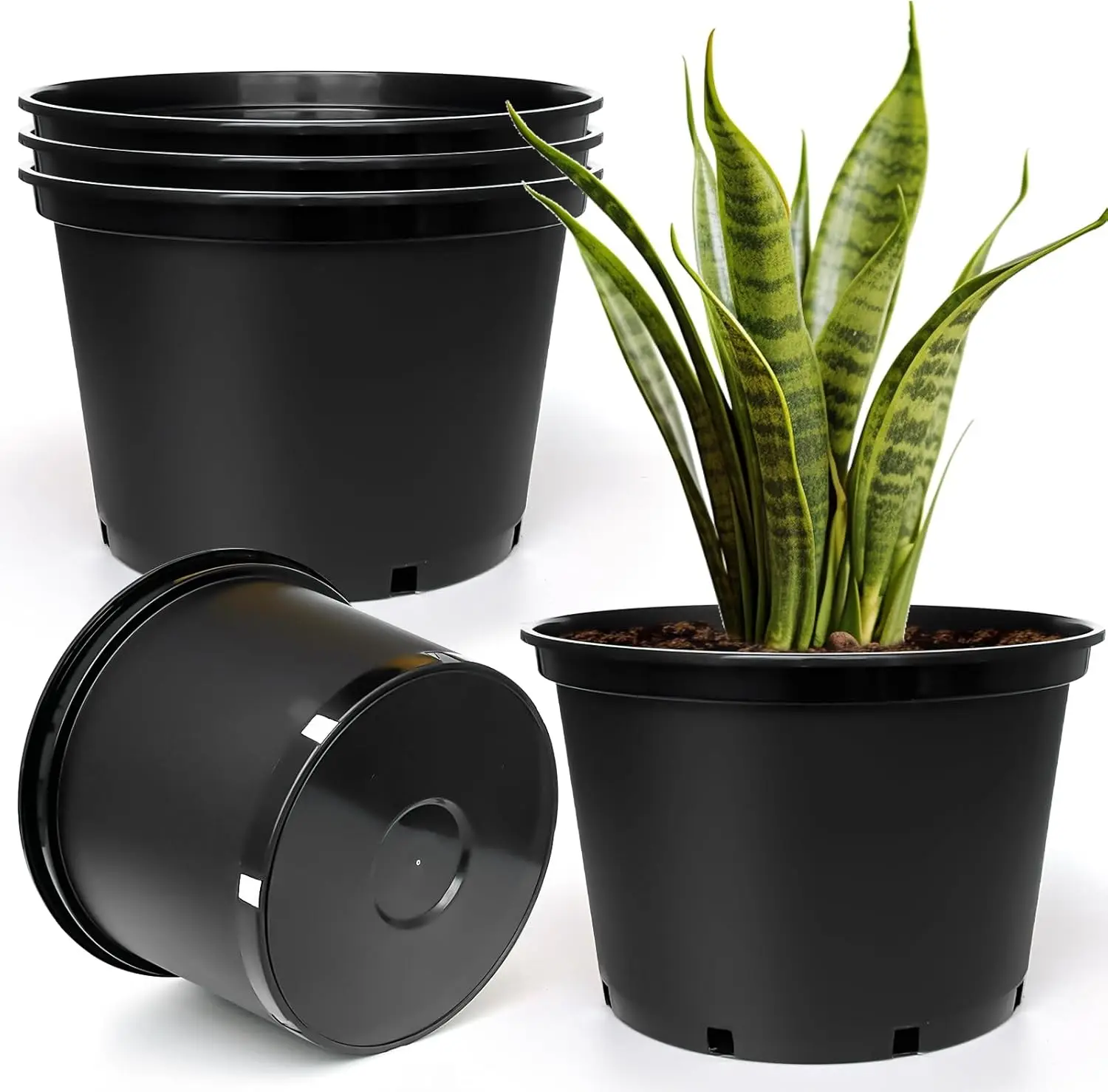 5-Pack 7 Gallon Plastic Plant Pots with Drainage Holes, Indoor Outdoor Gardening Containers
5-Pack 7 Gallon Plastic Plant Pots with Drainage Holes, Indoor Outdoor Gardening Containers
