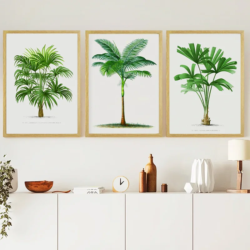Simple Nordic modern living room hanging paintings Small fresh background Natural log wind Fresh green plant canvas painting
Simple Nordic modern living room hanging paintings Small fresh background Natural log wind Fresh green plant canvas painting