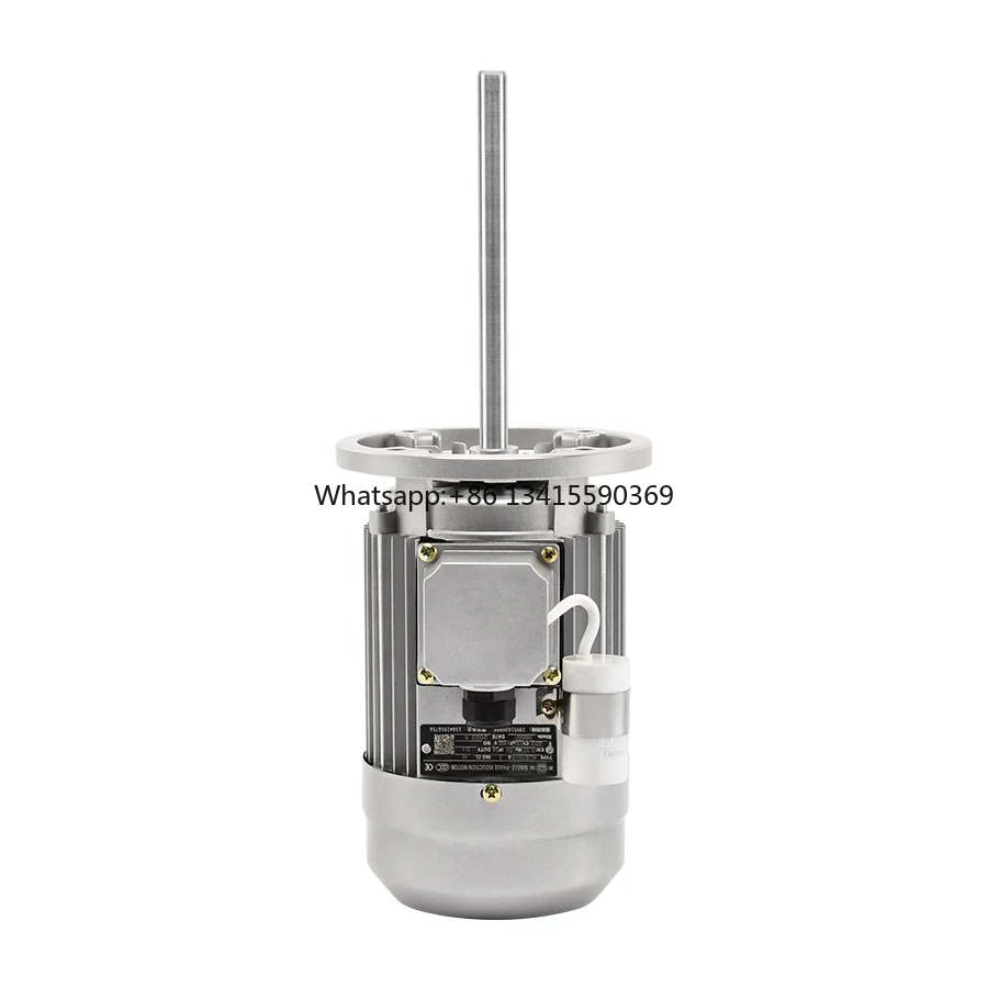 High Temperature Resistance Three Phase Long Shaft Motor 370W Small China Electric Motors
High Temperature Resistance Three Phase Long Shaft Motor 370W Small China Electric Motors