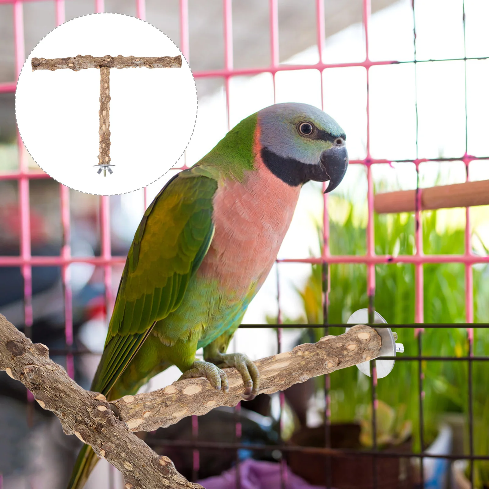 Parrot Birdcage Stand Branch Perch Grinding Stick Parakeet Accessories Perches Wood Wooden
Parrot Birdcage Stand Branch Perch Grinding Stick Parakeet Accessories Perches Wood Wooden