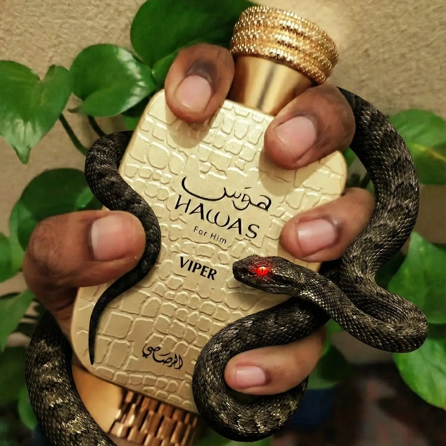 Hawas Viper Eau de Parfum for Men, 100ml (3.4 oz) Oriental & Rich Scent Spray
Hawas Viper Eau de Parfum for Men, 100ml (3.4 oz) Oriental & Rich Scent Spray