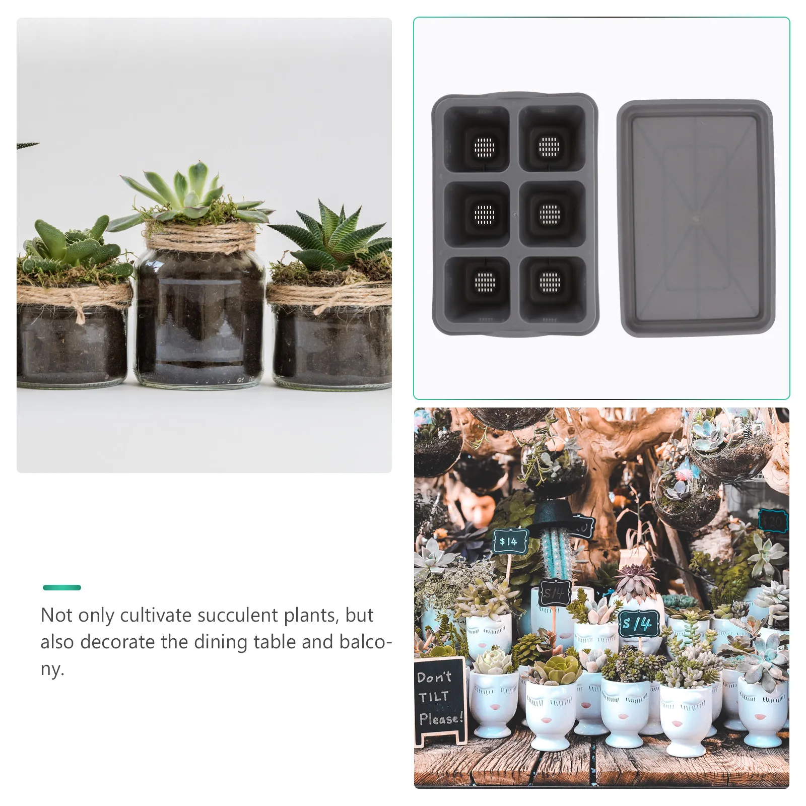 4Pcs 6 Grid Succulent Flower Pots Plastic Planters for Home Garden Decor Vegetable Germination Trays with Saucers
4Pcs 6 Grid Succulent Flower Pots Plastic Planters for Home Garden Decor Vegetable Germination Trays with Saucers