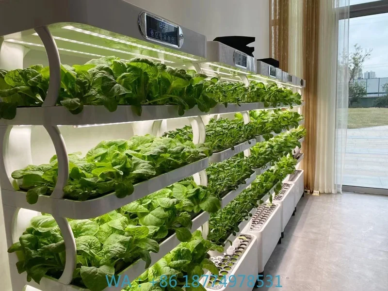 Гидропонное оборудование для теплиц, сделанное в Китае.Хорошотехнологичный садовый плантатор. Умные светодиодные микрозелени для выращивания растений.
Гидропонное оборудование для теплиц, сделанное в Китае.Хорошотехнологичный садовый плантатор. Умные светодиодные микрозелени для выращивания растений.