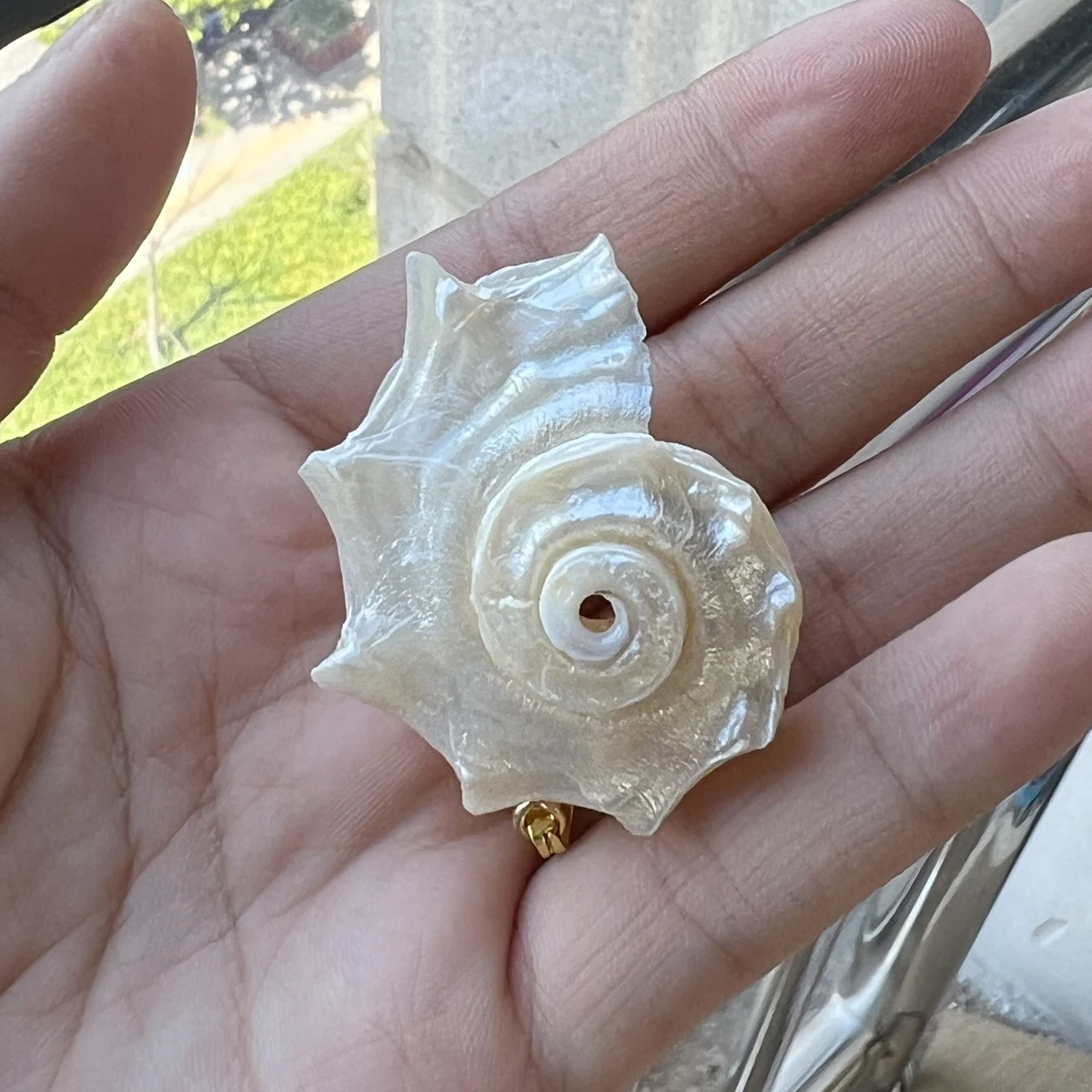 Wholesale 10pcs/lot Natural Freshwater Shell Pendant Exquisite Shell Handicrafts Charms For Jewelry Making DIY Necklace Earrings
Wholesale 10pcs/lot Natural Freshwater Shell Pendant Exquisite Shell Handicrafts Charms For Jewelry Making DIY Necklace Earrings