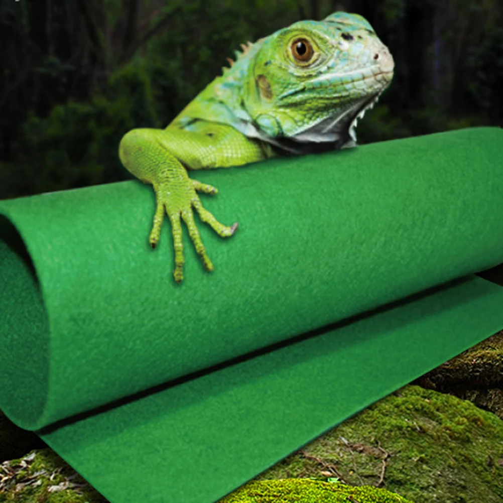 Reptile Mat Waterproof Moisture-Proof Warm Pad Durable Heat Cushion For Lizards Frogs Tortoises Reptile Warm Mat 26.5X40Cm
Reptile Mat Waterproof Moisture-Proof Warm Pad Durable Heat Cushion For Lizards Frogs Tortoises Reptile Warm Mat 26.5X40Cm