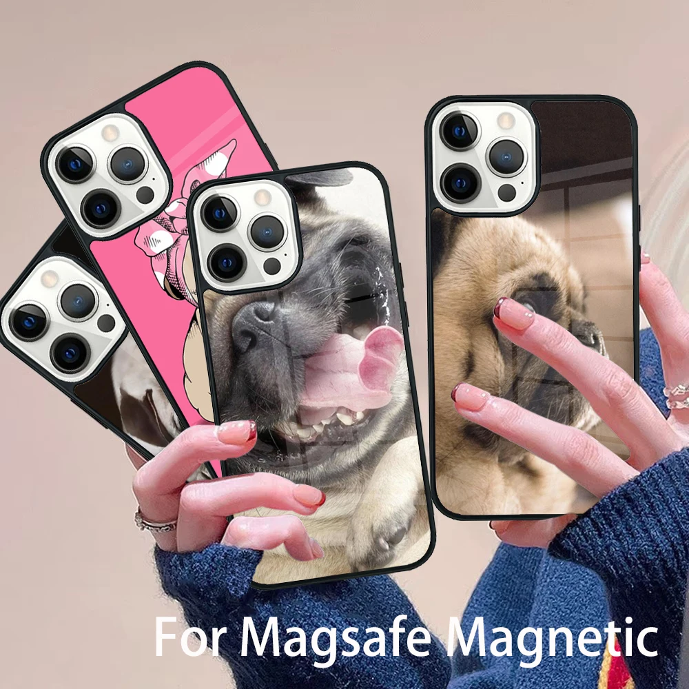 Pug Puppy Cute Dog Animals Phone Case Magesafe Magnetic Wireless Charge Cover For IPhone 16 11 12 13 14 15 Pro Max Plus Mini
Pug Puppy Cute Dog Animals Phone Case Magesafe Magnetic Wireless Charge Cover For IPhone 16 11 12 13 14 15 Pro Max Plus Mini