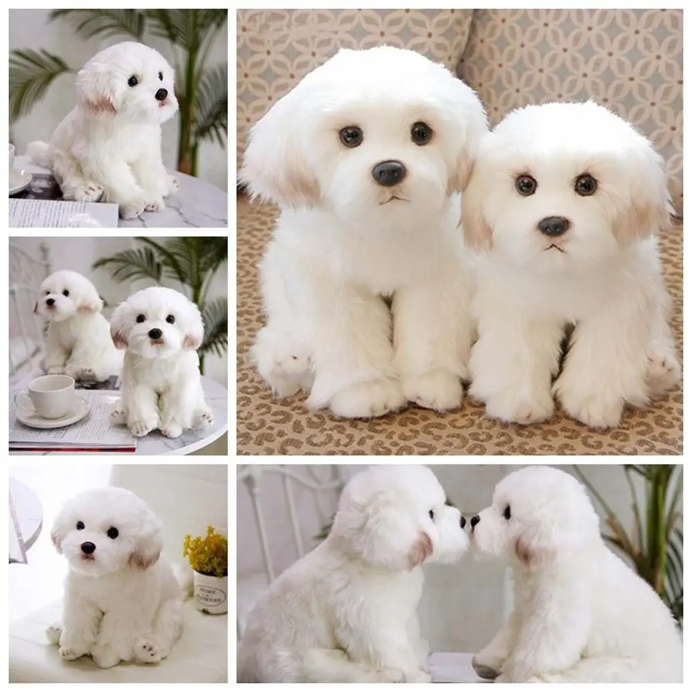 Stuffed Animal Maltese Stuffed Dog Pets Fluffy Home Decoration Maltese Plush Toy Lifelike Simulation Puppy Dog Plush
Stuffed Animal Maltese Stuffed Dog Pets Fluffy Home Decoration Maltese Plush Toy Lifelike Simulation Puppy Dog Plush