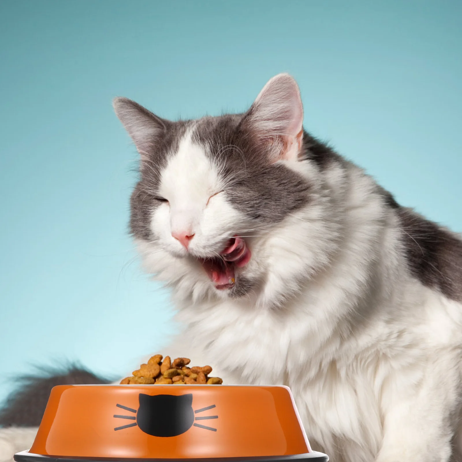 cat bowl feeder pet bowl feeder kitten feeding bowl puppy cat bow dog bowl dish
cat bowl feeder pet bowl feeder kitten feeding bowl puppy cat bow dog bowl dish