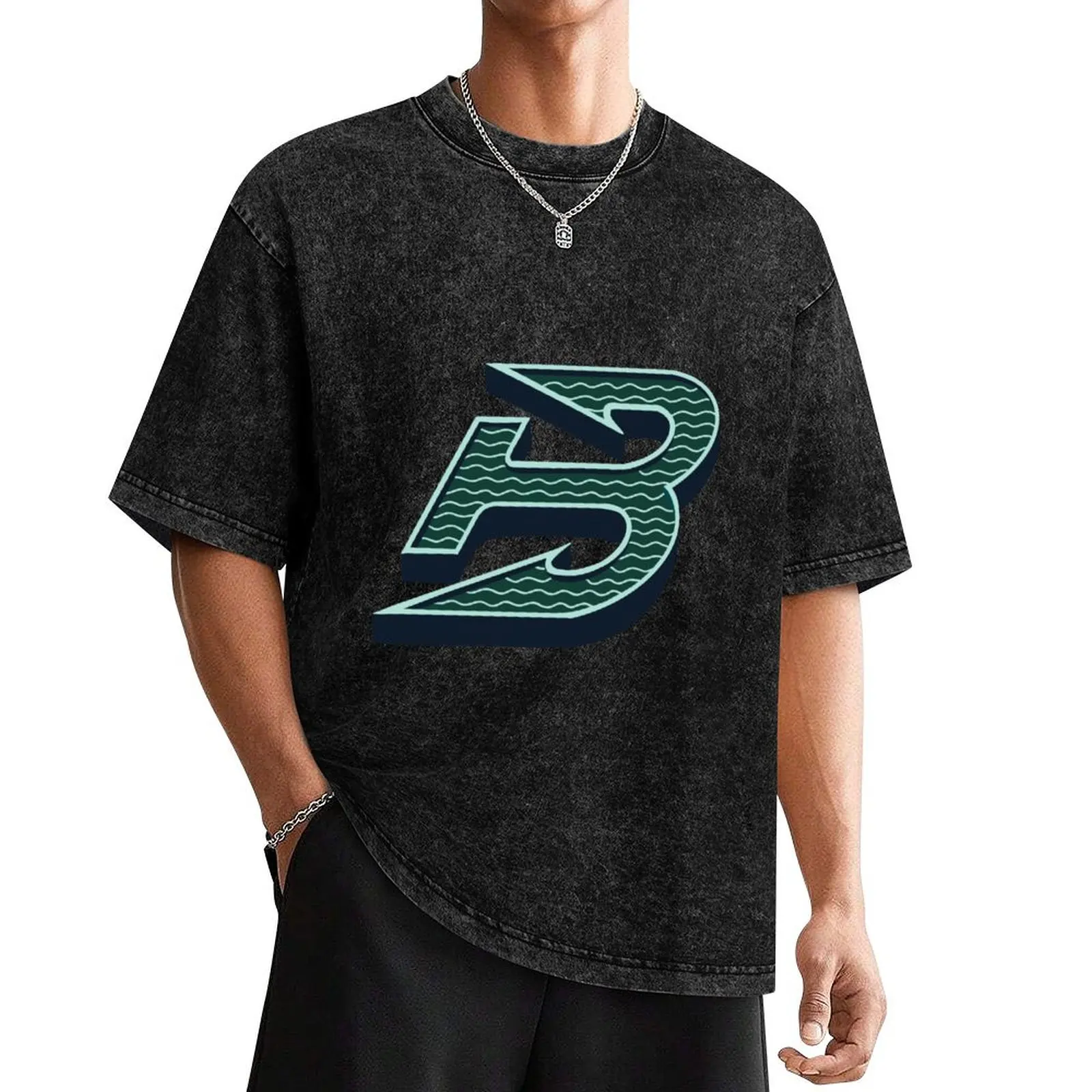 Boston Fleet PWHL logo T-Shirt cheap stuff boys animal print plain white t shirts men
Boston Fleet PWHL logo T-Shirt cheap stuff boys animal print plain white t shirts men