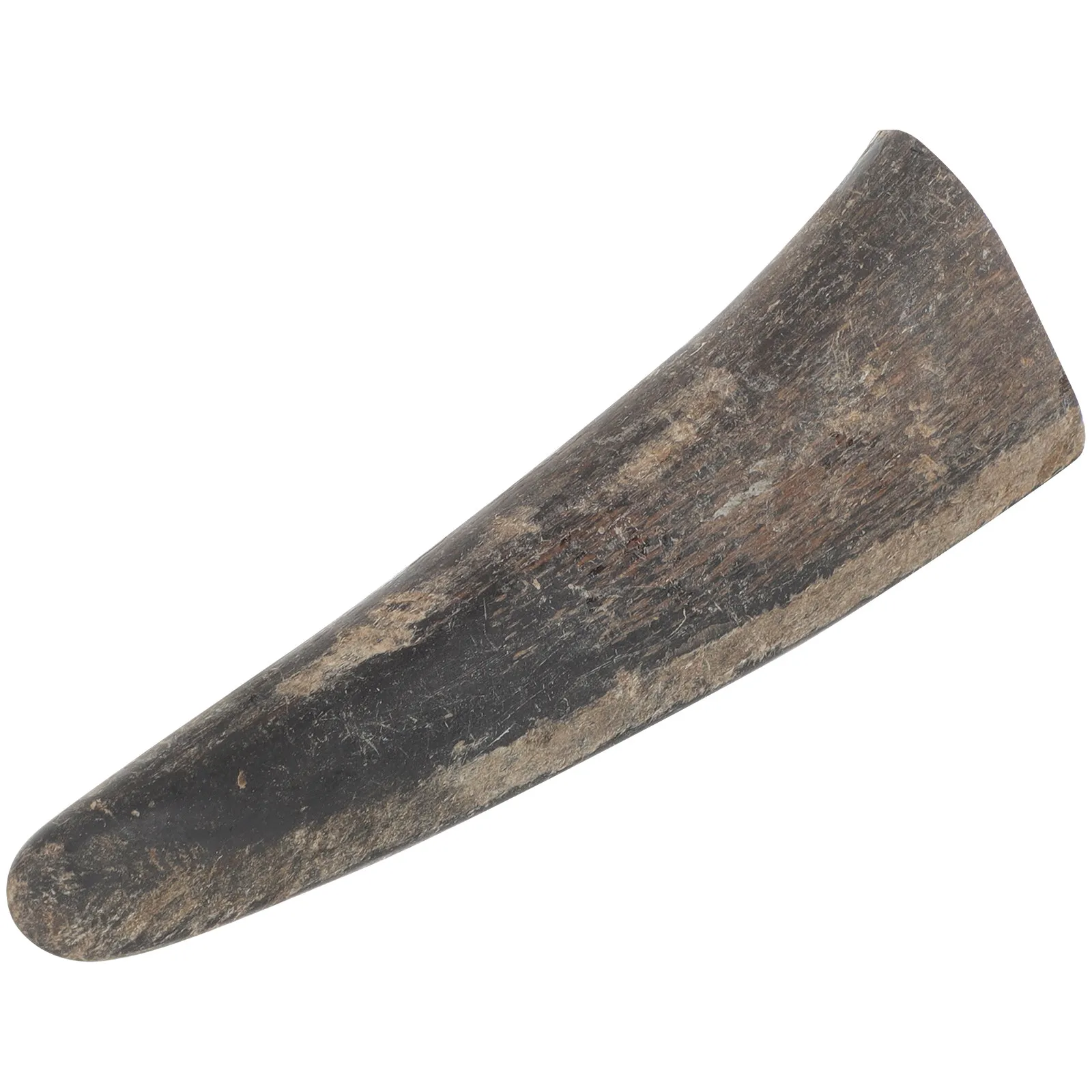 Bull Horn Natural Delicate Carving Material DIY Sculpture Smooth Lightweight Craft Supplies for Beads Bull Horns
Bull Horn Natural Delicate Carving Material DIY Sculpture Smooth Lightweight Craft Supplies for Beads Bull Horns