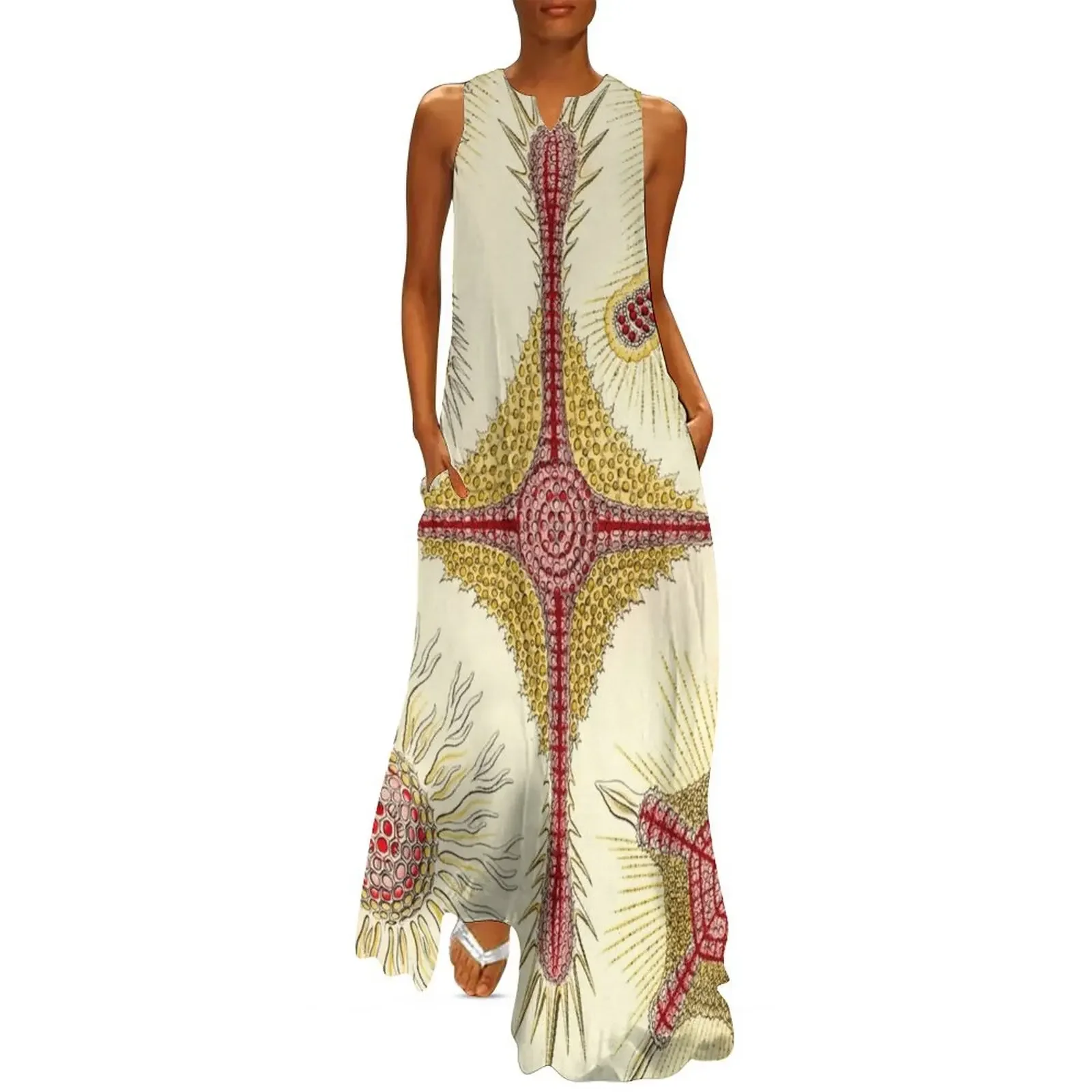 Discoidea - Ernst Haeckel Long Dress Women's dresses dress for women dresses korean style Dress
Discoidea - Ernst Haeckel Long Dress Women's dresses dress for women dresses korean style Dress