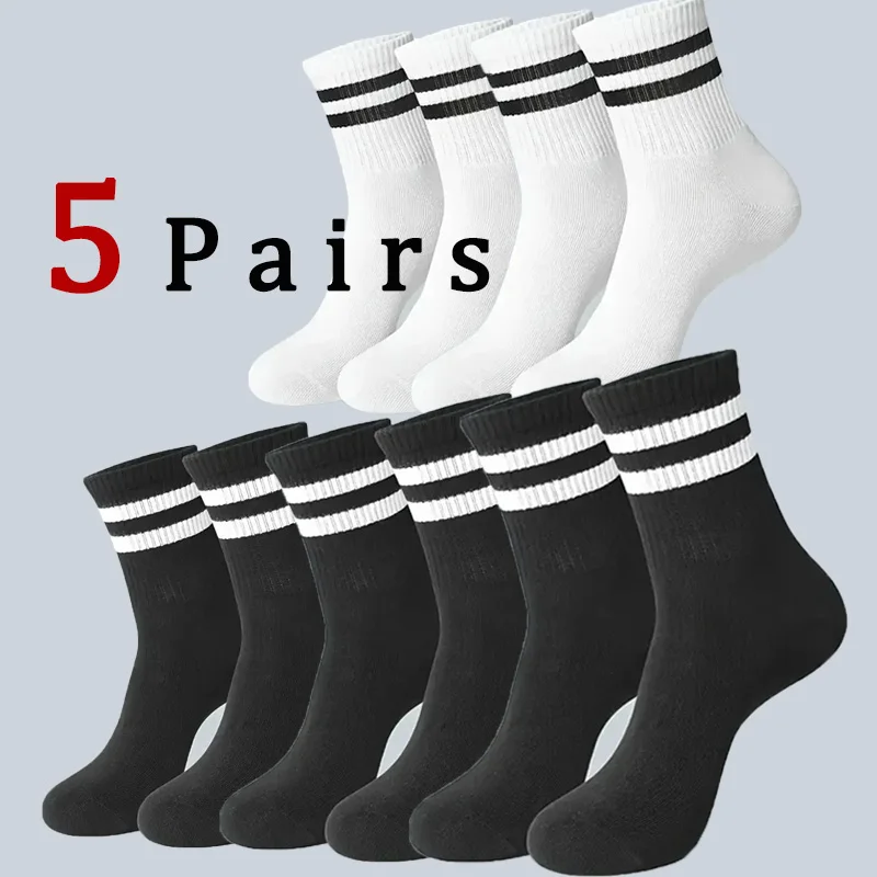 5 Pairs Neutral Striped Round Neck Socks Spring Summer Sweat Absorbing Breathable Solid Color Couple Sports Leisure Sock
5 Pairs Neutral Striped Round Neck Socks Spring Summer Sweat Absorbing Breathable Solid Color Couple Sports Leisure Sock