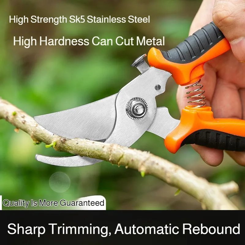 Horticultural Scissors Bird Beak Shape Branch Pruning Labor Saving Pruning Stainless Steel Picking Multifunctional Fruit Scissor
Horticultural Scissors Bird Beak Shape Branch Pruning Labor Saving Pruning Stainless Steel Picking Multifunctional Fruit Scissor