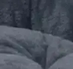 Моющиеся круглые кровати для кошек, 60 см, с противоскользящим дном, кровати для собак и мебель, мягкая плюшевая кровать для домашних животных, грузоподъемность 15 кг для дома
Моющиеся круглые кровати для кошек, 60 см, с противоскользящим дном, кровати для собак и мебель, мягкая плюшевая кровать для домашних животных, грузоподъемность 15 кг для дома