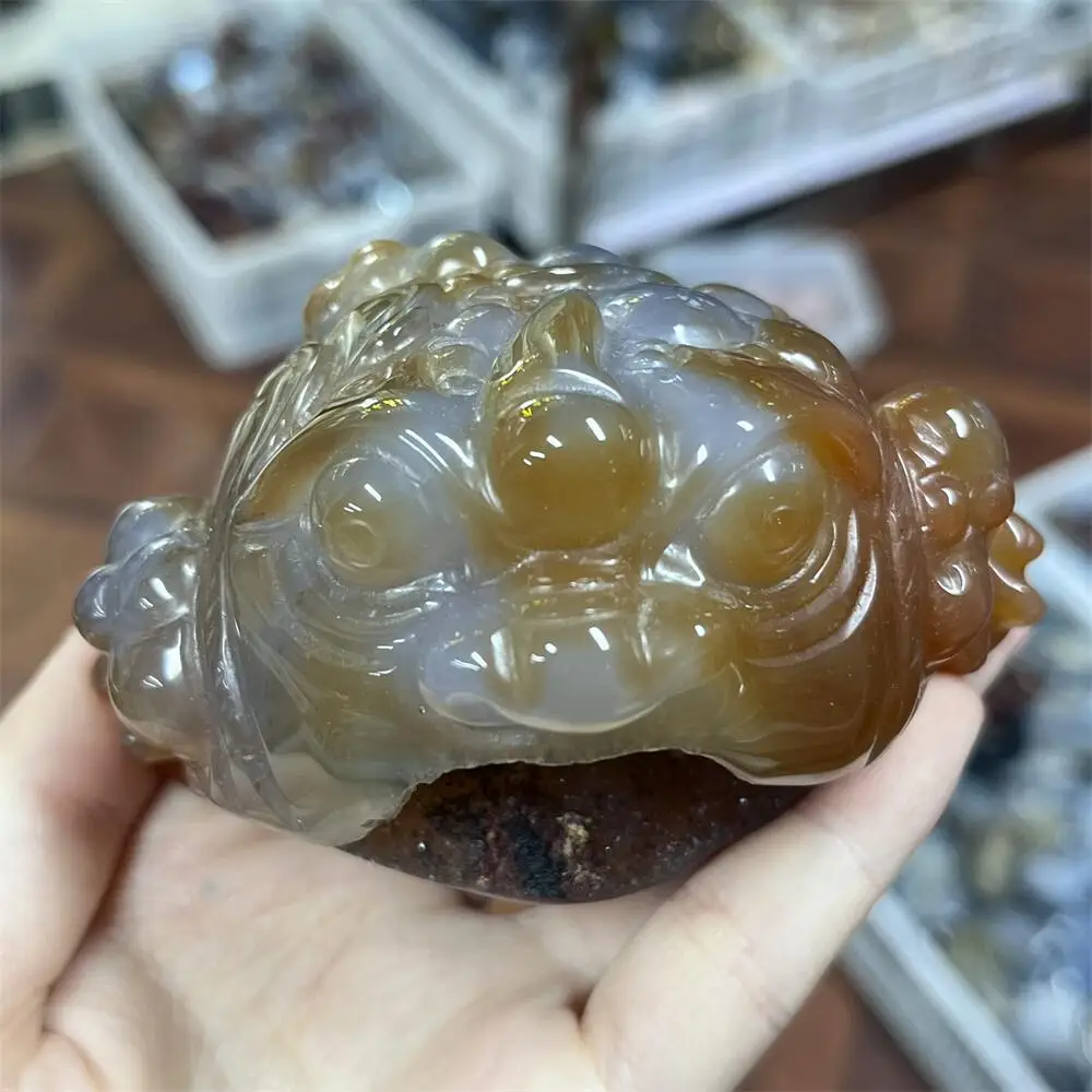Natural Carnelian Red Agate Geode Golden Toad Figurine Carved Polished Healing Crystal Home Decor animal Craft Gift
Natural Carnelian Red Agate Geode Golden Toad Figurine Carved Polished Healing Crystal Home Decor animal Craft Gift