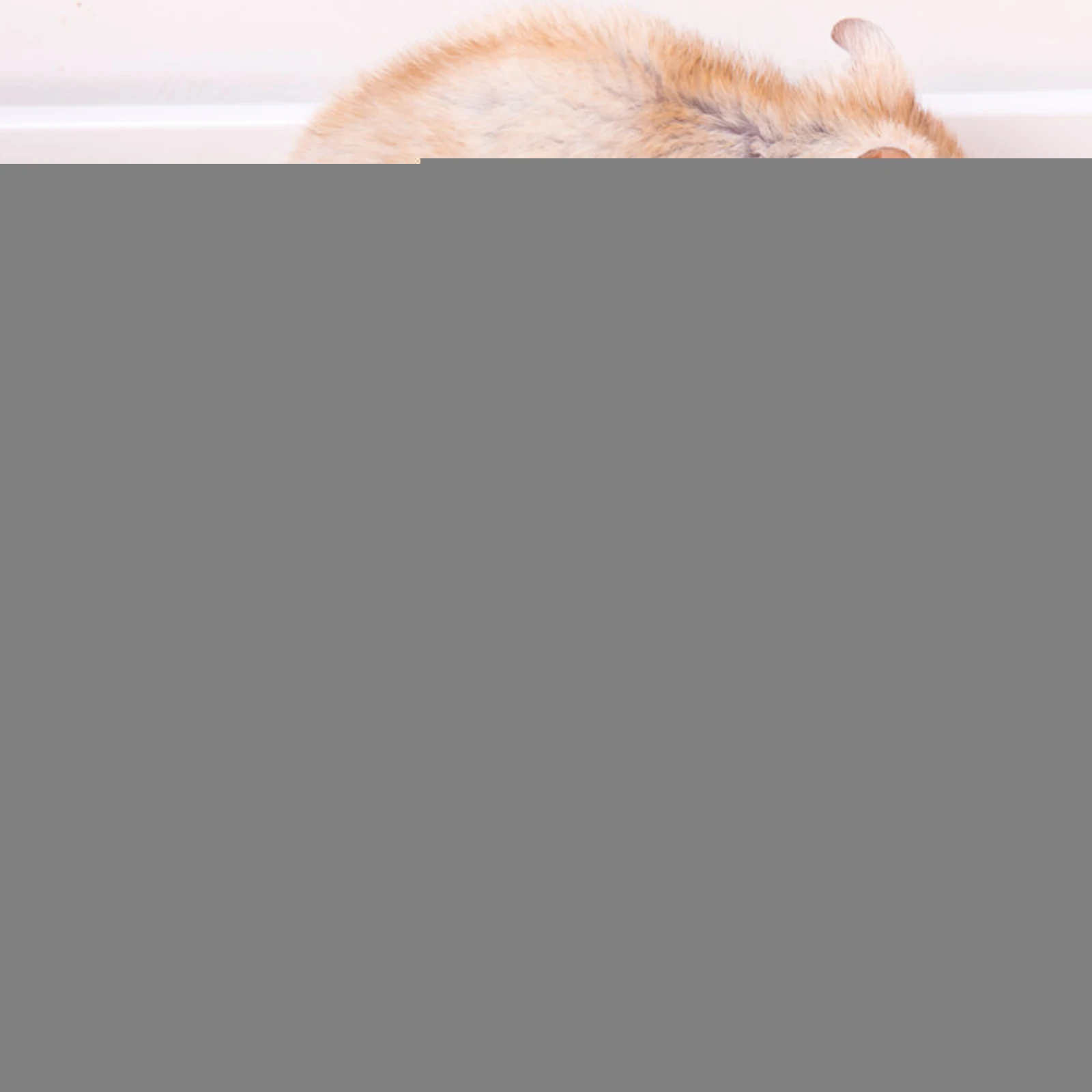 Pet Sleep Thermal Blanket Cozy Bed for Hamsters Small Animals Portable Winter Warm Hamster Wrap Nest Snuggle Pouch
Pet Sleep Thermal Blanket Cozy Bed for Hamsters Small Animals Portable Winter Warm Hamster Wrap Nest Snuggle Pouch