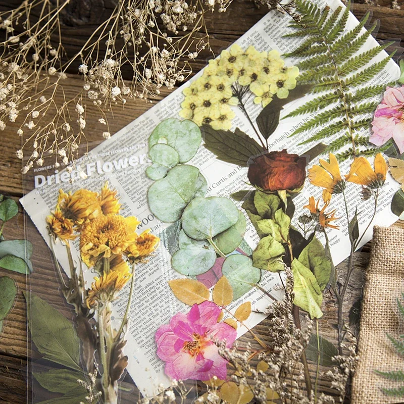6Sheet Flowers Stickers Green leaf plant Decorative Booking Scrapbook Material Supplies handmade account DIY 20*11CM
6Sheet Flowers Stickers Green leaf plant Decorative Booking Scrapbook Material Supplies handmade account DIY 20*11CM