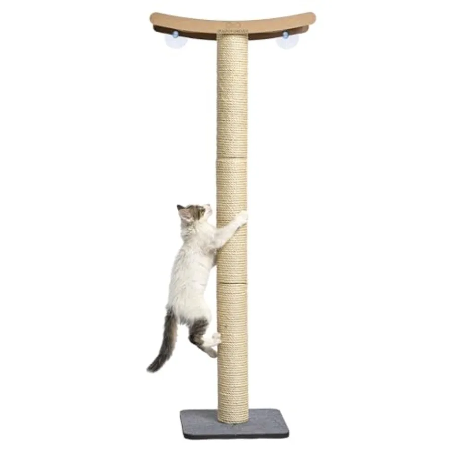 Cat Scratching Post with Perch for Large Cats Modern Cat Hammock Window Bed Strong Suction Cups Durable Eco Space Saving Cat Fu
Cat Scratching Post with Perch for Large Cats Modern Cat Hammock Window Bed Strong Suction Cups Durable Eco Space Saving Cat Fu