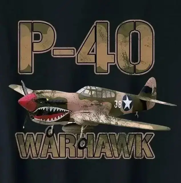 Футболка истребителя ВВС США времен Второй мировой войны P-40 Warhawk, 100% хлопок, с круглым вырезом, летняя повседневная мужская футболка с короткими рукавами, размер S-3XL
Футболка истребителя ВВС США времен Второй мировой войны P-40 Warhawk, 100% хлопок, с круглым вырезом, летняя повседневная мужская футболка с короткими рукавами, размер S-3XL