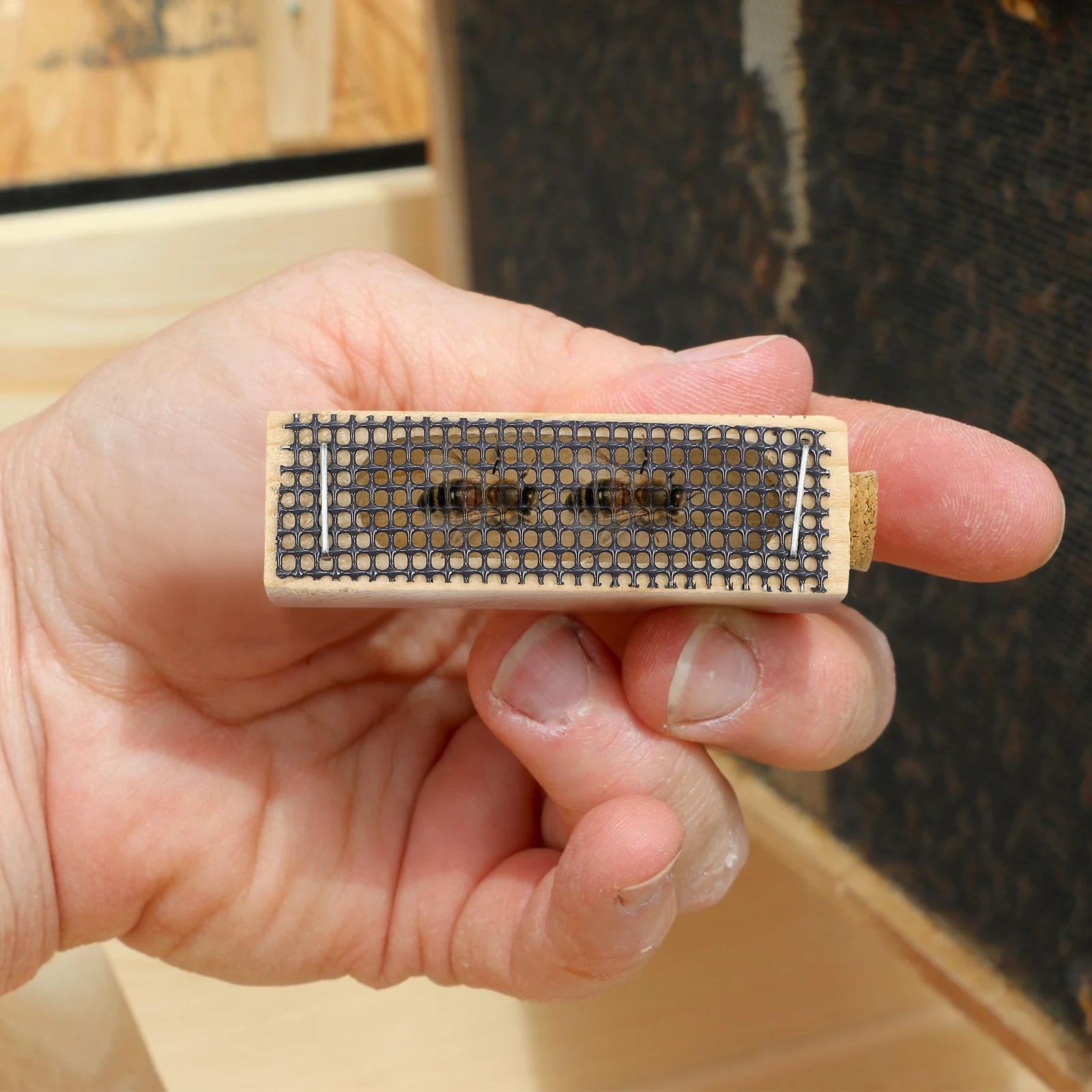 5pcs Wooden Cage Durable Beekeeping Supplies Ventilated Mesh Apiculture Equipment Long Lasting Bee Tool
5pcs Wooden Cage Durable Beekeeping Supplies Ventilated Mesh Apiculture Equipment Long Lasting Bee Tool