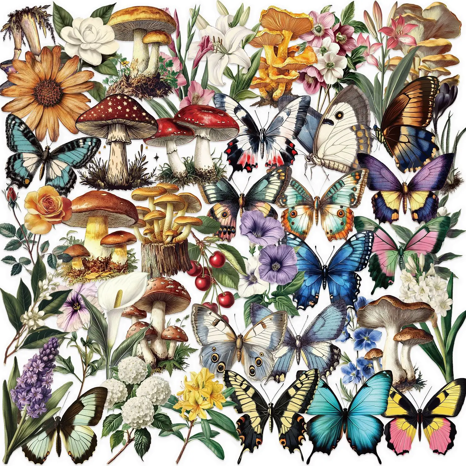 10/30/50PCS Retro Mushroom Plant Butterfly PET Sticker DIY Phone Laptop Luggage Skateboard Graffiti Decals Fun for Kid
10/30/50PCS Retro Mushroom Plant Butterfly PET Sticker DIY Phone Laptop Luggage Skateboard Graffiti Decals Fun for Kid