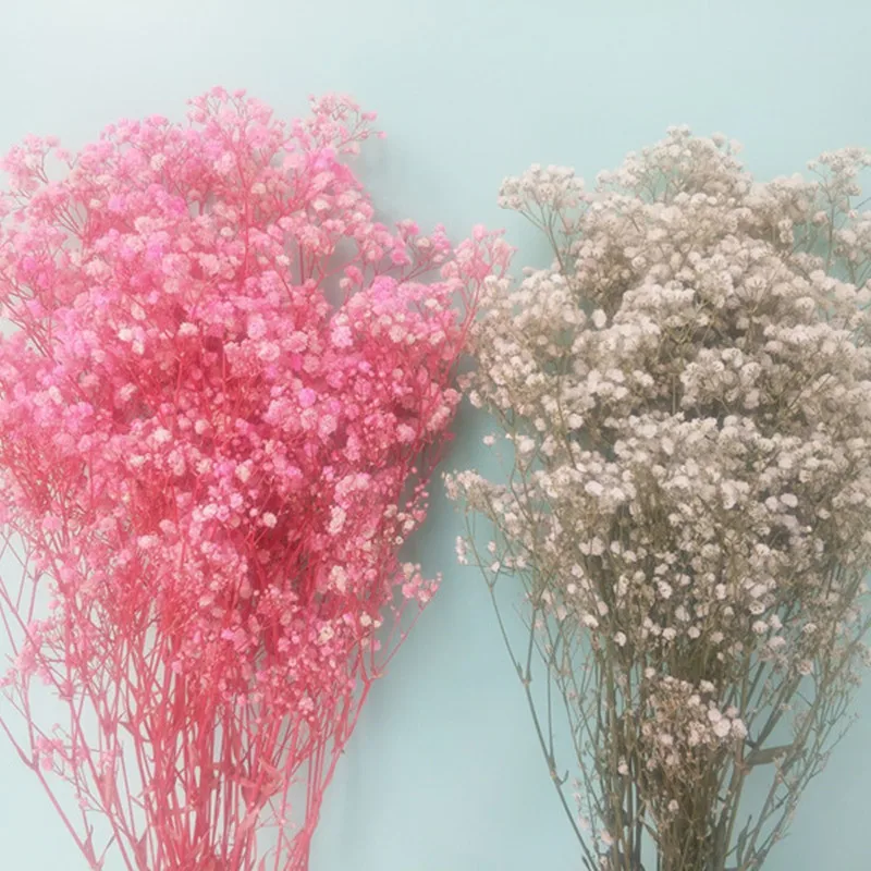 Flores Secas Hot Blue Gypsophila Dried Flowers New Arrivals In 2025 For Bedroom, Living Room Decoration Valentine's Day Gift
Flores Secas Hot Blue Gypsophila Dried Flowers New Arrivals In 2025 For Bedroom, Living Room Decoration Valentine's Day Gift