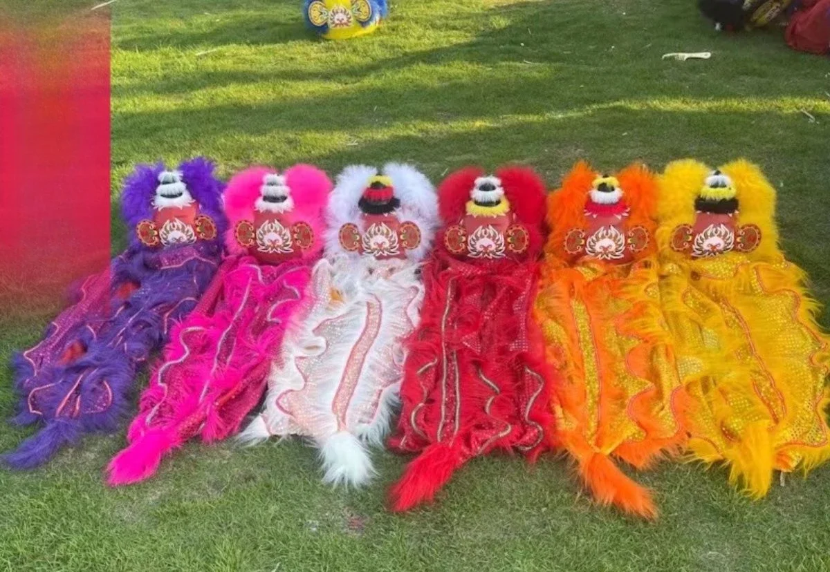 Children's Lion Dance Do Not Blink Props School Activity Performance Props Cartoon Family Props Outfit Dress Party Carnival
Children's Lion Dance Do Not Blink Props School Activity Performance Props Cartoon Family Props Outfit Dress Party Carnival