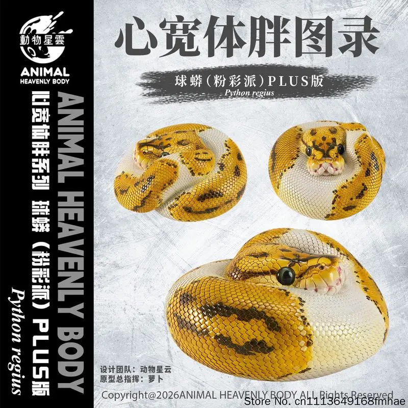 Animal Heavenly Body Ball Python Figure Model Pastel Pie Plus Chubby Series Realistic Reptile Home Decor For Adult Collectors
Animal Heavenly Body Ball Python Figure Model Pastel Pie Plus Chubby Series Realistic Reptile Home Decor For Adult Collectors