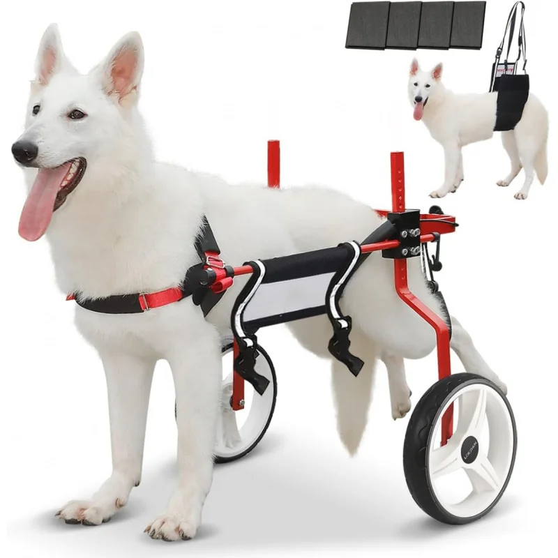 2026 New:Back Large, Heavy Duty Wheelchair Dogs, Adjustable Dog Carts with Wheels Disabled Hind
2026 New:Back Large, Heavy Duty Wheelchair Dogs, Adjustable Dog Carts with Wheels Disabled Hind