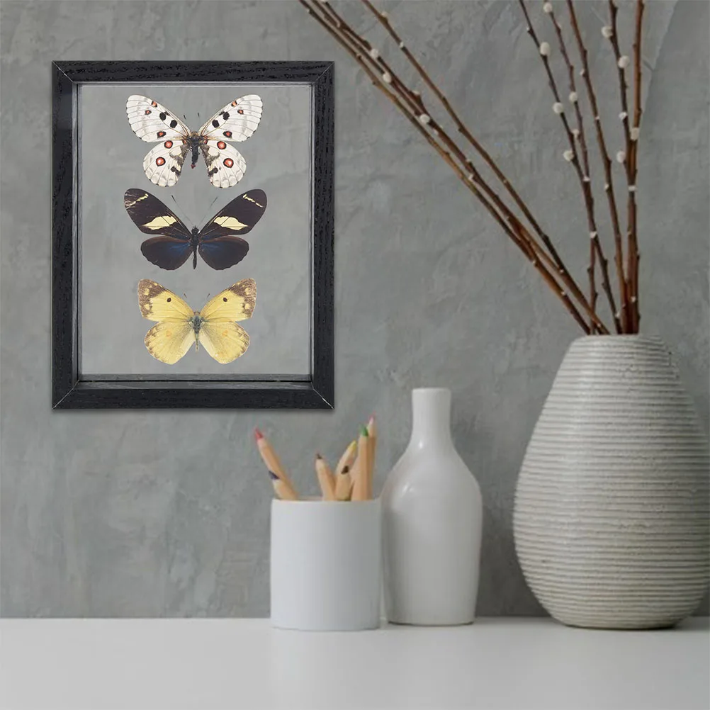 Specimen Display Frame Durable Wood Glass DIY Plant Sample Box Butterflies Dried Flowers Photo Frame Desktop Display
Specimen Display Frame Durable Wood Glass DIY Plant Sample Box Butterflies Dried Flowers Photo Frame Desktop Display