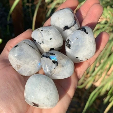 Rainbow Moonstone Tumble Stone Moonstone Crystal Chakra Balancing Crystals Crystals for Protection Crystal Gift Ideas
Rainbow Moonstone Tumble Stone Moonstone Crystal Chakra Balancing Crystals Crystals for Protection Crystal Gift Ideas