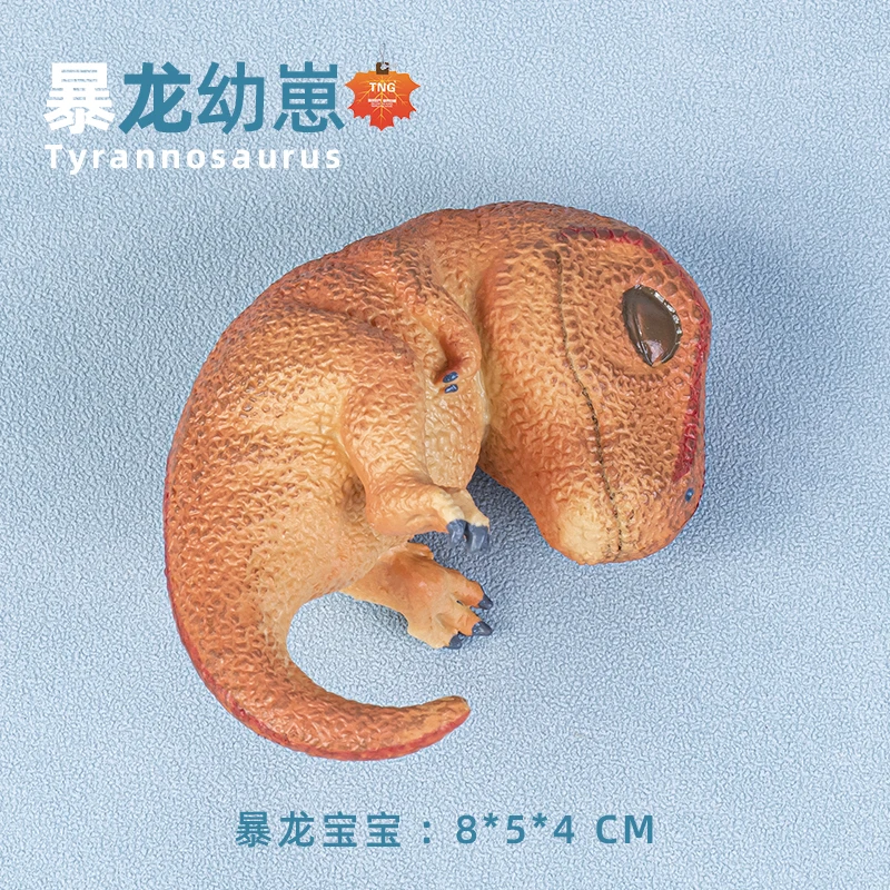 Simulated Dinosaur Cubs Baby Egg Doll Tyrannosaurus Rex Dinosaur Egg Cute Kawaii Model Children'S Male Cognitive Toy Ornament
Simulated Dinosaur Cubs Baby Egg Doll Tyrannosaurus Rex Dinosaur Egg Cute Kawaii Model Children'S Male Cognitive Toy Ornament
