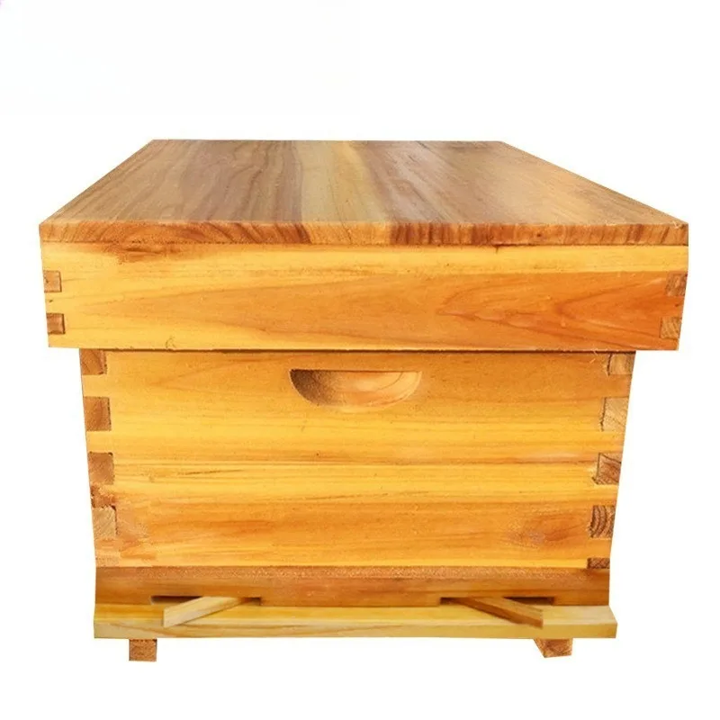 Bee cooking wax in the beehive, standard beehive, nest frame, flat box, beekeeping tools, nest base, ten frames
Bee cooking wax in the beehive, standard beehive, nest frame, flat box, beekeeping tools, nest base, ten frames