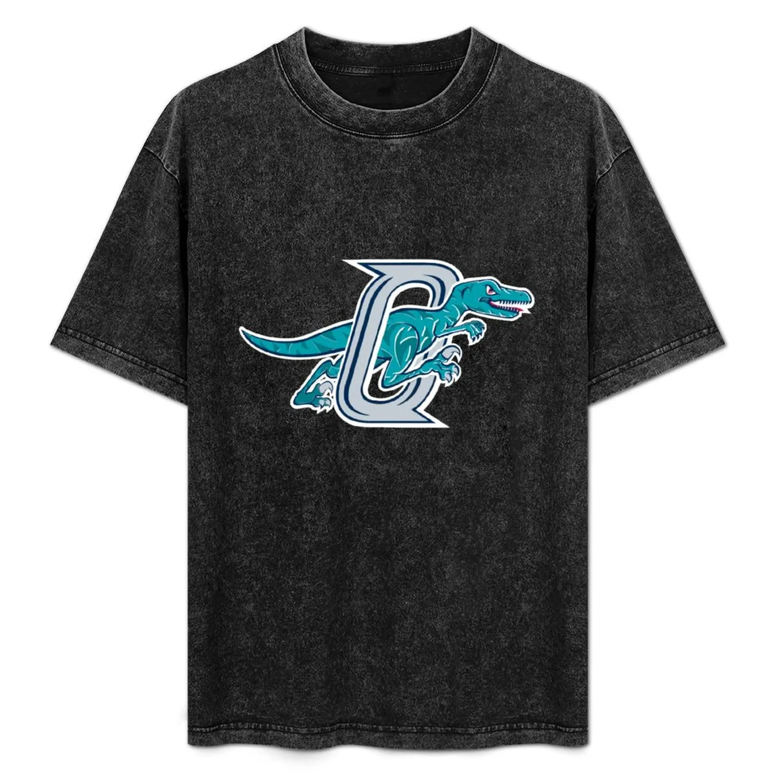 The Ogden Raptors T-Shirt High Elasticity Sports T-Shirt
The Ogden Raptors T-Shirt High Elasticity Sports T-Shirt