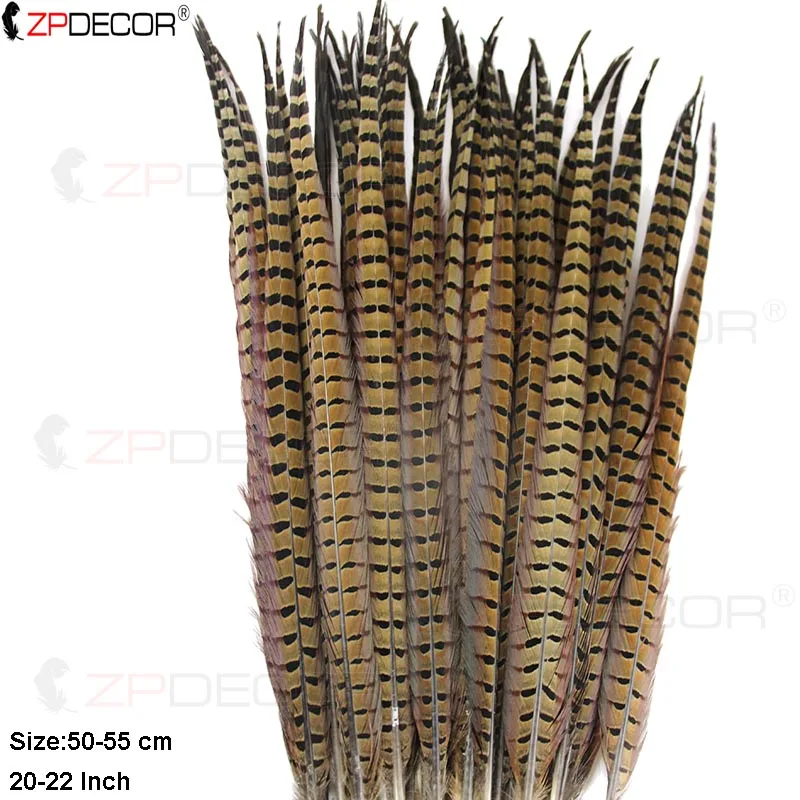 ZPDECOR 10-Pack Ringneck Pheasant Feathers 40-55cm/16-22 Inch Long Feathers for Carnival Costumes And Decorations
ZPDECOR 10-Pack Ringneck Pheasant Feathers 40-55cm/16-22 Inch Long Feathers for Carnival Costumes And Decorations