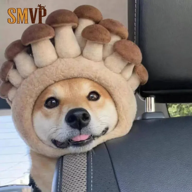 2026 New Creative Plush Mushroom Dog Hat Winter Warm Pet Headwear Cute Cosplay Costume Cap for Small Medium Large Dogs
2026 New Creative Plush Mushroom Dog Hat Winter Warm Pet Headwear Cute Cosplay Costume Cap for Small Medium Large Dogs