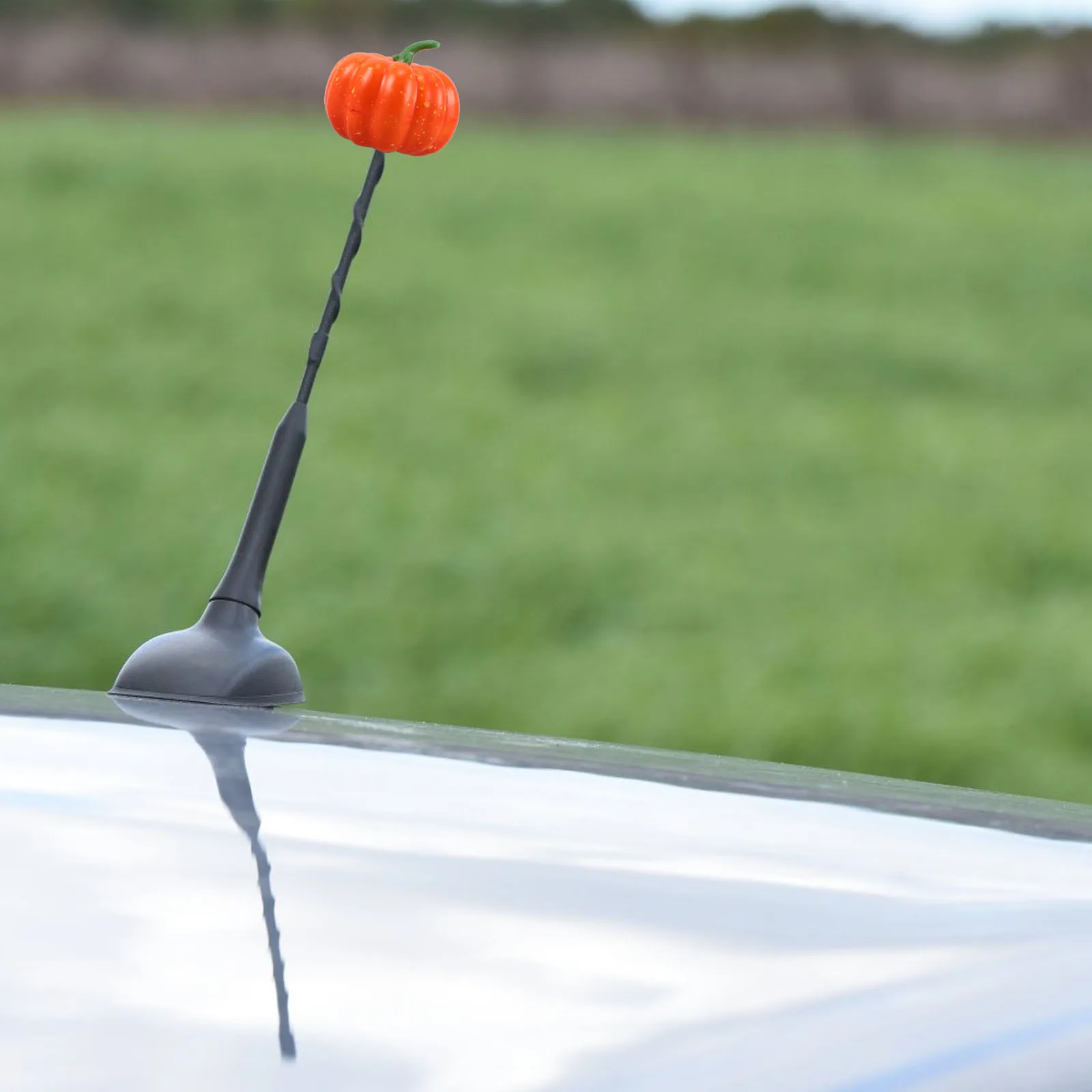 Car Roof Decoration Pumpkin Antenna Topper ange Car Decorations Exterior naments Vehicle Accessories Cartoon Plastic
Car Roof Decoration Pumpkin Antenna Topper ange Car Decorations Exterior naments Vehicle Accessories Cartoon Plastic