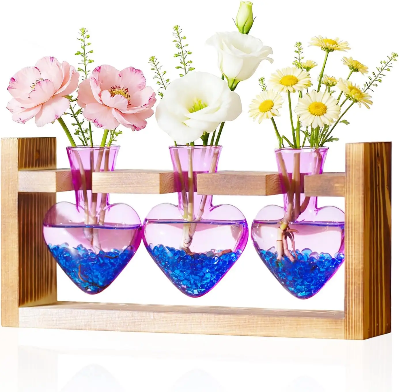 Heart Plant Terrarium Propagation Station - 3 Bulb Glass Vase with Wooden Stand, Tabletop Hydroponics Decor for Home Office, Gift for Mom Women Plant Lovers (Purple)
Heart Plant Terrarium Propagation Station - 3 Bulb Glass Vase with Wooden Stand, Tabletop Hydroponics Decor for Home Office, Gift for Mom Women Plant Lovers (Purple)