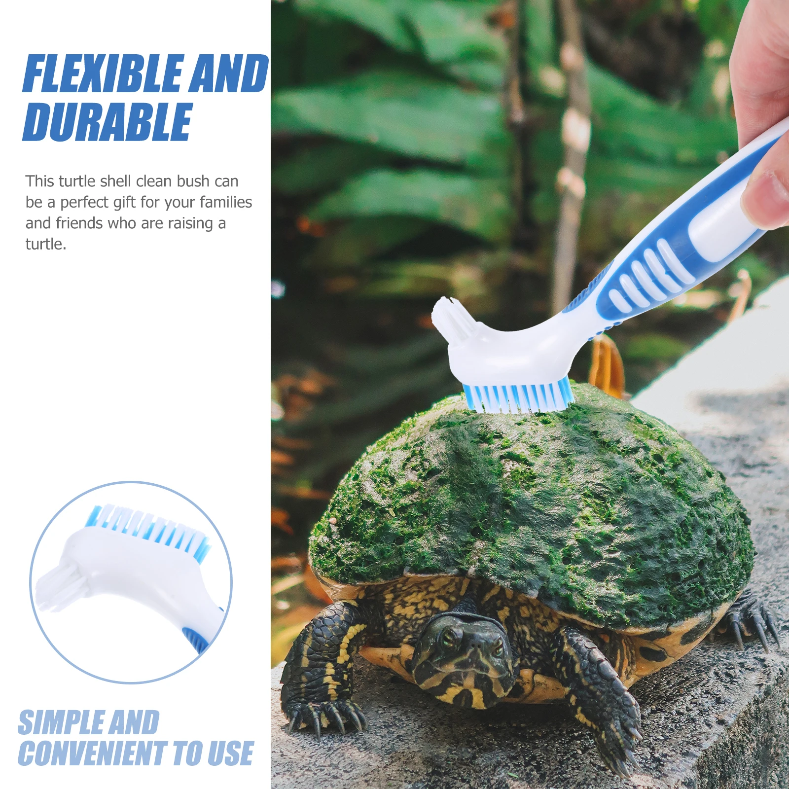 Turtle Shell Cleaning Brush Large Aquarium Cleaner for Tortoise Scrub Multi-functional Mini Brushes Premium Plastic Material
Turtle Shell Cleaning Brush Large Aquarium Cleaner for Tortoise Scrub Multi-functional Mini Brushes Premium Plastic Material