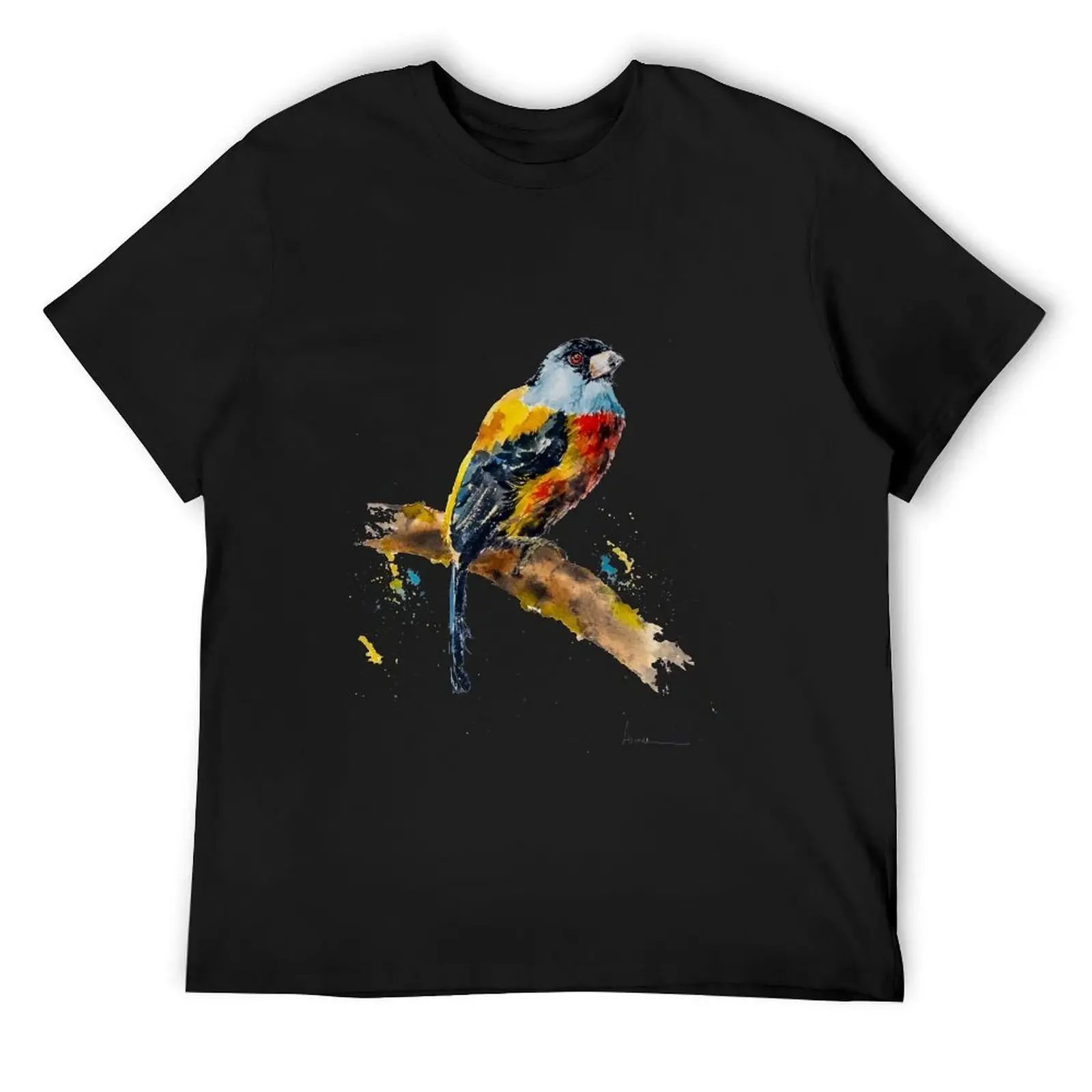 The toucan barbet (Semnornis ramphastinus) T-Shirt graphic t shirts anime stuff sports fans customizeds fitted t shirts for men
The toucan barbet (Semnornis ramphastinus) T-Shirt graphic t shirts anime stuff sports fans customizeds fitted t shirts for men