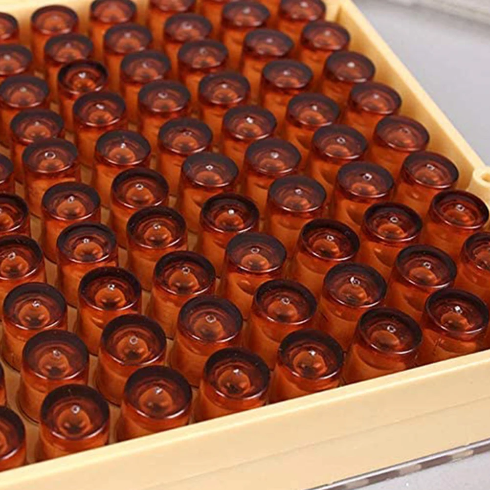 1000 Pcs Hatching Cup Rearing Supplies Plastic Durable Beekeeping Tools Equipment Waterproof Corrosion Resistant Easy
1000 Pcs Hatching Cup Rearing Supplies Plastic Durable Beekeeping Tools Equipment Waterproof Corrosion Resistant Easy