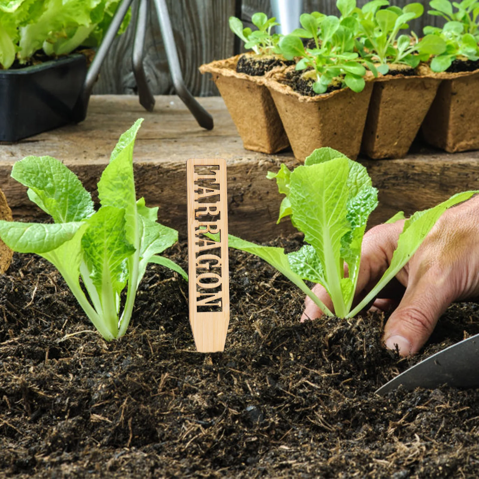 24 Pcs Gardening Card Insert Label Fade-resistant Plant Tags Markers for Outdoor Use Bamboo Reusable Classification of Plants
24 Pcs Gardening Card Insert Label Fade-resistant Plant Tags Markers for Outdoor Use Bamboo Reusable Classification of Plants